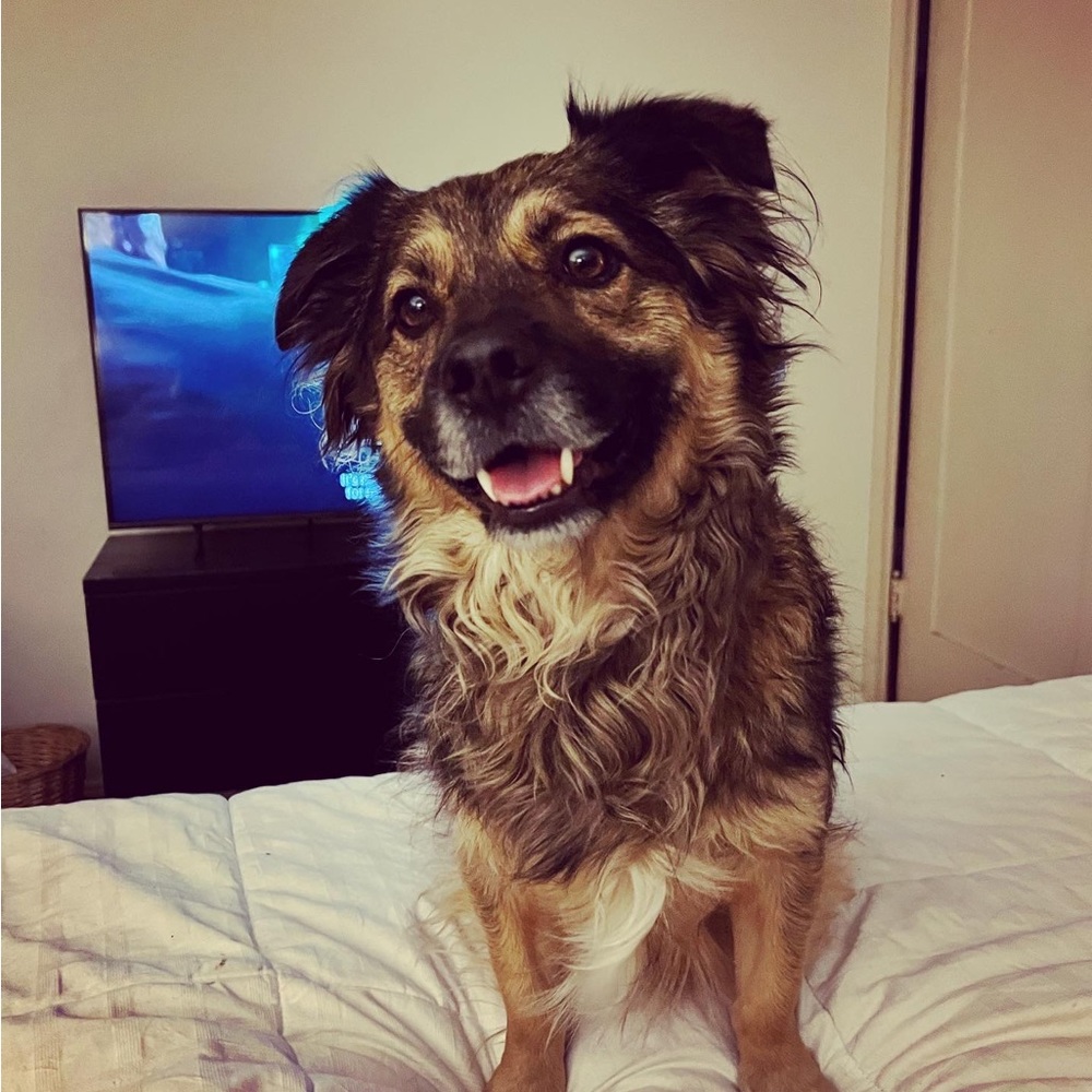 Meet your Posher, Kyla